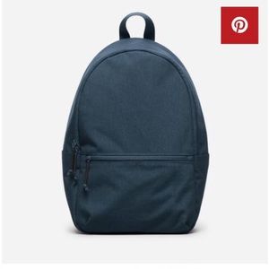 Everlane Backpack Like New